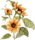 articadesigns