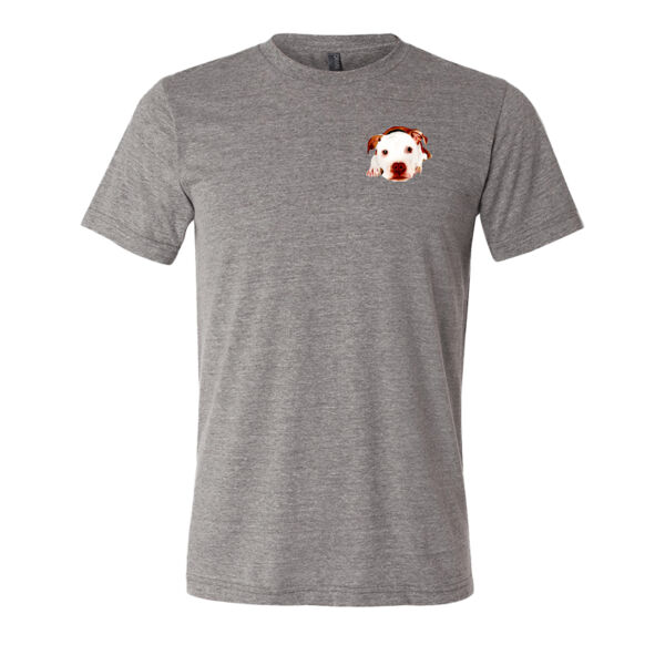 Sleepy Puppy Triblend Tee Thumbnail