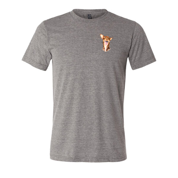 Charlie Triblend Tee Thumbnail